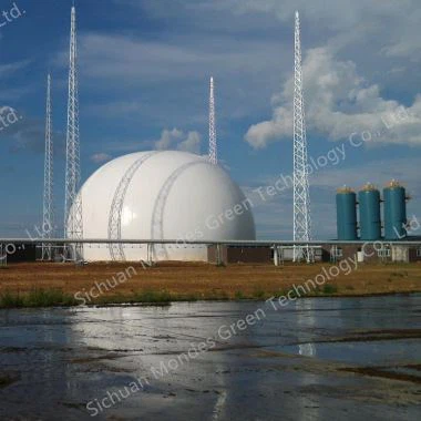 دارنده گاز دو غشای آزاد